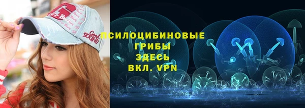 сатива Краснослободск