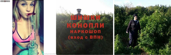 сатива Краснослободск