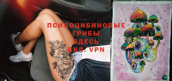 сатива Краснослободск