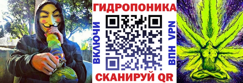 Бошки Шишки VHQ  Купить закладки  Приморск 